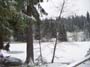 foto38