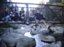 foto39