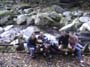 foto41