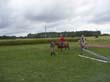 foto33